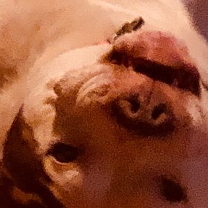 Meet your Posher, Zac